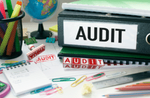 #seo_audit_1#